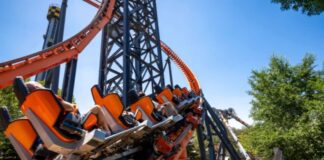 Terrazas y Family Days en Parque de Atracciones de Madrid