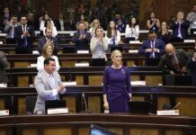 Daniel Nemaa podría elegir reformas parciales de la Constitución para reemplazar la parte, a pesar de que necesitaría una fuerte mayoría en la Asamblea