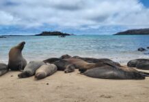 Estos son los dos legisladores de Galápagos de la nueva Asamblea Nacional | Política | Noticias