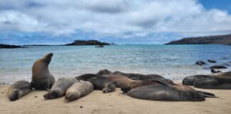 Estos son los dos legisladores de Galápagos de la nueva Asamblea Nacional | Política | Noticias