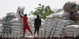 Cómo hacer que las deudas de los países en desarrollo sean sostenibles | Negocio