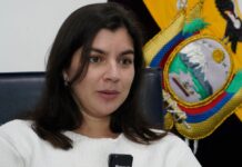 Daniel Nemaa describe a Irene Vélez como su delegado frente a la Junta de Medios Públicos del EP | Política | Noticias