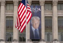 Trump presiona a Walmart para que «coman» aranceles y no cargue precios | Negocio