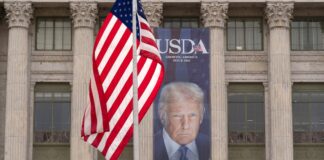 Trump presiona a Walmart para que «coman» aranceles y no cargue precios | Negocio