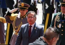 Gustavo Petro solicita una mayor cooperación internacional con las mafias y las economías ilegales para la posesión de Daniel Nemaa | Política | Noticias