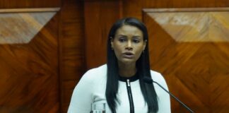 Diana Salazar presentó credenciales como embajadora de Ecuador en Argentina