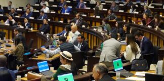 Proyecto urgente para desarticular la economía criminal suma apoyos de Pachakutik, PSC y aliados | Política | Noticias