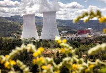 Los números que alimentan el debate sobre la extensión de la vida de Kerne en España | Negocio