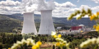 Los números que alimentan el debate sobre la extensión de la vida de Kerne en España | Negocio