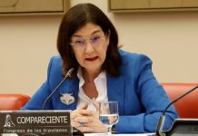 El CNMC planea pagar a los 1,000 millones de electricidad menos al año de lo que pidieron sus redes | Buscar