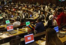 La Asamblea Nacional aún está pendiente para elegir dos vocales de Cal, Secretario y Fiscal | Política | Noticias