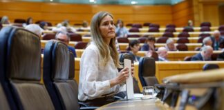 Aagesse describe «anomal» una de las vibraciones registradas en Europa antes de la falla de energía y rechaza un déficit de deficiencia | Negocio