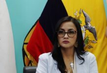 Quien es Viviana Veloz, Presidenta de la Infancia y la Comisión de Protección Juvenil de la Reunión | Política | Noticias