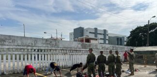 El ejecutivo sugiere dos medidas en una nueva factura: reducir el impuesto sobre la renta a aquellos que donan suministros a la violencia pública e incentivos económicos para la ciudadanía | Política | Noticias