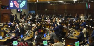 Siete de las quince comisiones de la Asamblea Nacional Los Leadra Adn | Política | Noticias