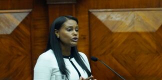 Del Asistente al Fiscal General: Conozca la carrera pública de Diana Salazar, quien renunció desde el 20 de mayo de 2025 | Política | Noticias