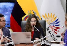 Consulte el perfil de Camila León Cueva, Presidente de la Comisión de Biodiversidad y Recursos Naturales de la Asamblea Nacional | Política | Noticias