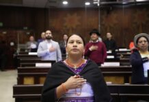 ¿Quién es Cecilia Baltazar, presidenta de la Comisión de Educación de la Asamblea Nacional? | Política | Noticias