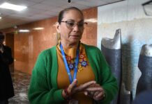 Pierina Correa anuncia su retirada de la política | Política | Noticias