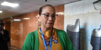 Pierina Correa anuncia su retirada de la política | Política | Noticias