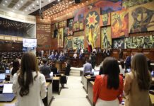 ¿Cuáles son las funciones de las 15 comisiones constantes de la Asamblea Nacional? | Política | Noticias