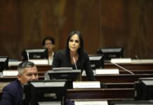 ¿Quién es Marcela Holguín, el nuevo administrador de medios públicos? | Política | Noticias