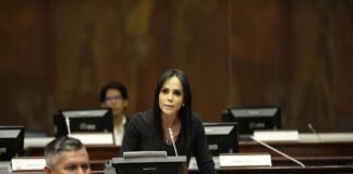 ¿Quién es Marcela Holguín, el nuevo administrador de medios públicos? | Política | Noticias