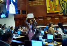 Ley urgente para desarticular la economía criminal pasa a segundo debate | Política | Noticias