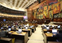 La Ley de Bienestar Animal se suspenderá dos días después de la Asamblea de nuevos legisladores: Conozca los puntos controvertidos | Informes | Noticias