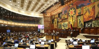 La Ley de Bienestar Animal se suspenderá dos días después de la Asamblea de nuevos legisladores: Conozca los puntos controvertidos | Informes | Noticias