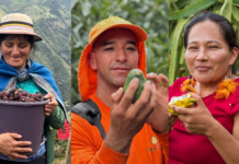 Mejor acceso al mercado europeo: 175 productores de frutas no tradicionales de Ecuador reciben certificaciones internacionales | Economía | Noticias