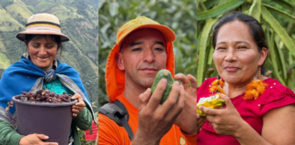 Mejor acceso al mercado europeo: 175 productores de frutas no tradicionales de Ecuador reciben certificaciones internacionales | Economía | Noticias