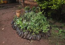 El reto de las empresas para hacer llegar su compromiso social ante un público vacunado contra el ‘greenwashing’ | Economía