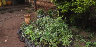 El reto de las empresas para hacer llegar su compromiso social ante un público vacunado contra el ‘greenwashing’ | Economía