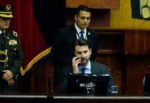 Niels Olsen desvincula a sobrino de Santiago Díaz, asesor de Christina Jácome, asambleísta de la bancada RC | Política | Noticias