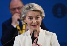 Europa: hacer de la necesidad virtud | Negocios