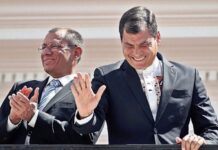 Caso Vidrio Libre: Rafael Correa, ubicado como ‘compañero Cuatro Pelos u Hombre de Verde’, y Jorge Glas conocían plan para liberar al exvicepresidente, según versión de exjuez | Política | Noticias