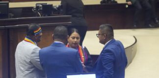 Seis asambleístas de Pachakutik cada vez más distantes de las directrices del movimiento | Política | Noticias