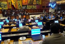 Reformas que endurecen penas contra adolescentes marcan una “línea roja” en el correísmo, Pachakutik e independientes para apoyar la Ley de Integridad Pública | Política | Noticias