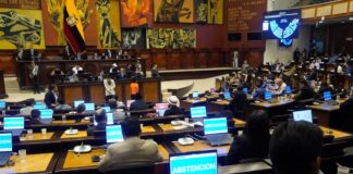 Reformas que endurecen penas contra adolescentes marcan una “línea roja” en el correísmo, Pachakutik e independientes para apoyar la Ley de Integridad Pública | Política | Noticias