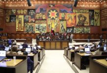 Pleno de la Asamblea Nacional resolverá sobre Ley de Protección y Defensa de los Derechos de los Animales | Política | Noticias