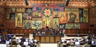 Pleno de la Asamblea Nacional resolverá sobre Ley de Protección y Defensa de los Derechos de los Animales | Política | Noticias