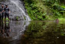 Grupos criminales extorsionan a guardaparques y se esconden en áreas protegidas, alerta representante de organización de conservación natural | Política | Noticias