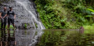 Grupos criminales extorsionan a guardaparques y se esconden en áreas protegidas, alerta representante de organización de conservación natural | Política | Noticias