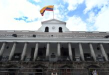 Daniel Noboa arranca con cinco políticas en sectores estratégicos: eliminará subsidio al diésel a industria atunera | Política | Noticias