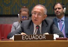 ‘Irán no ha sido para Ecuador un país de mucha importancia’, dice Hernán Pérez Loose, exembajador de Ecuador en la ONU | Política | Noticias