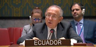 ‘Irán no ha sido para Ecuador un país de mucha importancia’, dice Hernán Pérez Loose, exembajador de Ecuador en la ONU | Política | Noticias