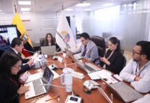 Colectivos animalistas celebran archivo de proyecto de ley de protección y defensa de los derechos de los animales | Política | Noticias