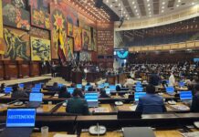 Tres curules serán ocupadas por asambleístas suplentes porque los titulares enfrentan procesos disciplinarios y legales | Política | Noticias