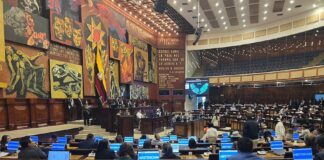 Asamblea Nacional en un primer llamado a votación no logra aprobar las reformas al Código de la Democracia | Política | Noticias